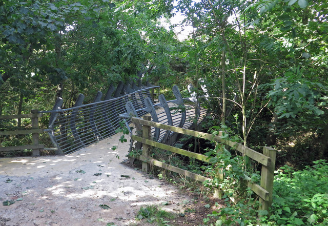 The Whale Bridge © Pauline E :: Geograph Britain and Ireland