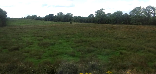 Marshy field in Clonshanny