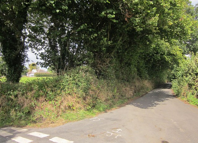 Lane at Brinning Cross