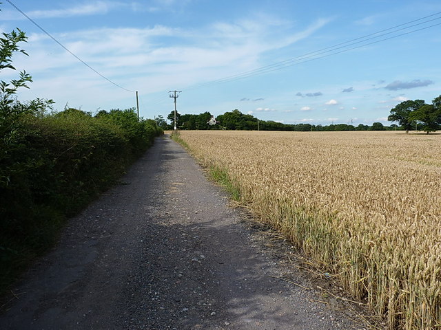 Up the track to Far Laches Farm