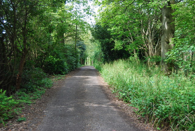 Bridleway west of the A281