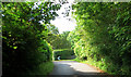 A leafy lane near Bristol.