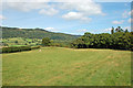 Field near Tyn-y-Groes