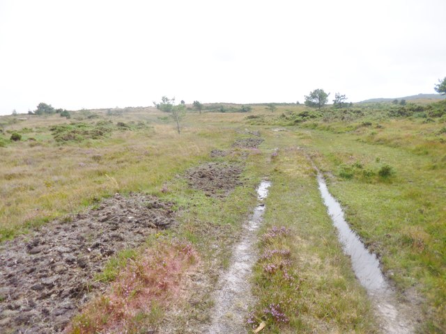 Stoborough Heath, track