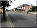 Terrace of houses, Barton Road