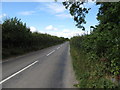 Narrow section of the Ballyhornan Road