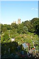 Allotments off Margery Lane