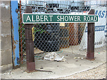 TG2813 : Albert Shower Road (road sign) by Evelyn Simak