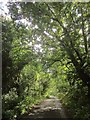 Lane near Little Wooston