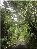 SX7688 : Lane near Little Wooston by Derek Harper