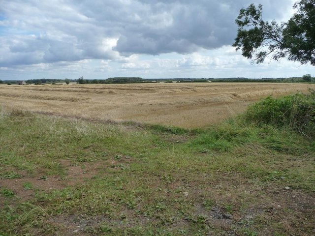 Harvested wheatfield, north-east of Leyes Farm