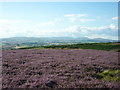 From Glitteringstone to the Cheviots