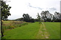 Path by Saltcoats Park