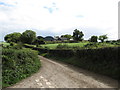 Dairy farm on Ballysallagh road