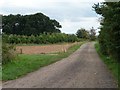 SP0550 : Track and public footpath to Portway Barn by Christine Johnstone