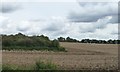 Farming at a right angle, by Churchill Cottage