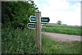 Bridleway, footpath junction