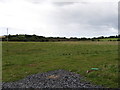 Grazing land north of the Ballyhornan Road