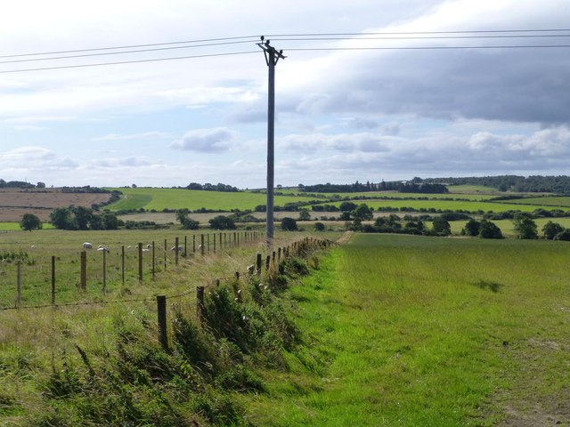 Fence and electricity pole