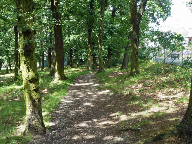 Path in Grangewood Park
