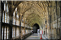 SO8318 : The Cloisters, Gloucester Cathedral by Philip Pankhurst