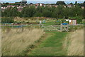 Allotments at Albert Village