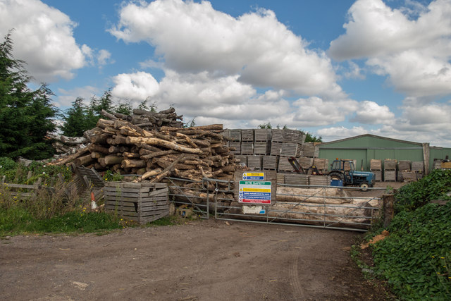 Yard with Logs