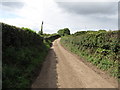 Ballysallagh Road approaching the T-junction with Dillin Road