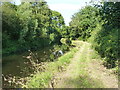 Towpath of the Staffs & Worcs canal