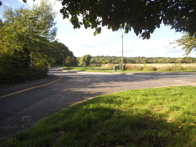 Ashtead Common from Woodfield Road