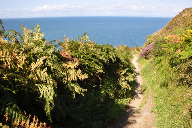 North Devon : Torrs Walk