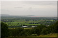 View over Tickenham Moor