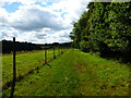 Footpath going southwards on the eastern edge of Closedown Wood