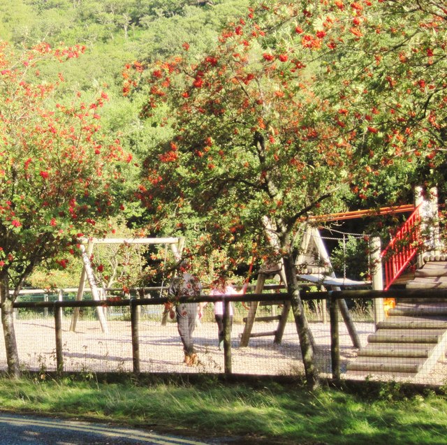 Playground with rowan trees