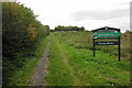 Kelham Bridge Forest Walk