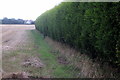 Hedge round the house in a field