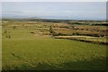 Rough grassing near Llanaelhaearn