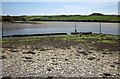 Oyster trestles, Frogmore Creek