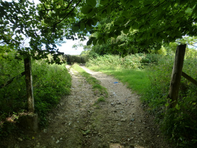 Byway going east from the B3349 emerges from woodland