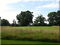 Shop Field Meadow