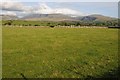 Farmland above Penygroes