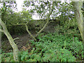 Suffolk Square pillbox