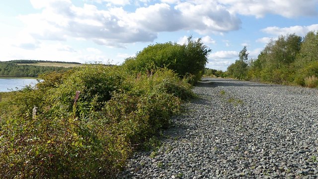 The disused mineral railway line from the former Grimethorpe Colliery