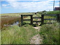 Path to the beach at Shellness