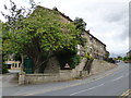 Embsay: Terrace houses on Skipton Road