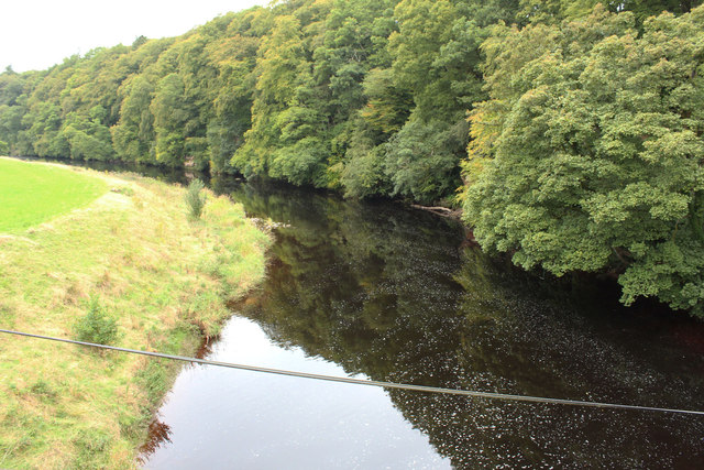River Ayr near Mauchline