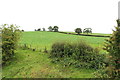 Farmland at Clews Mount