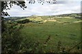 Valley above Eglwysbach