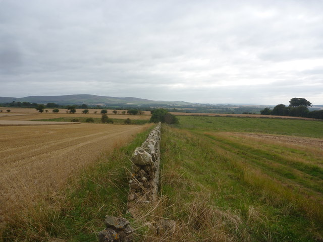 East Lothian Landscape : A Gap In The Wall