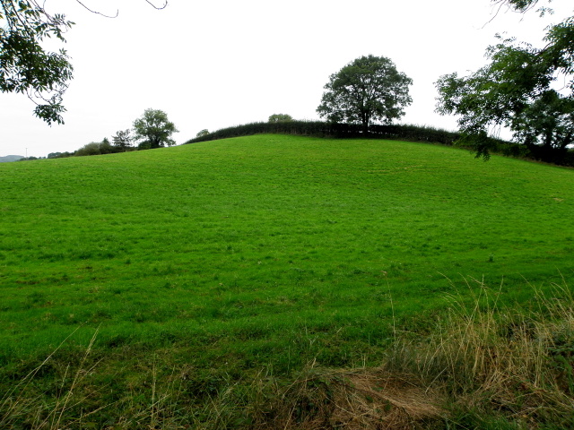 A low hill, Drumcorke